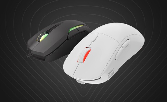 Genesis Souris