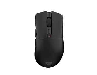Souris