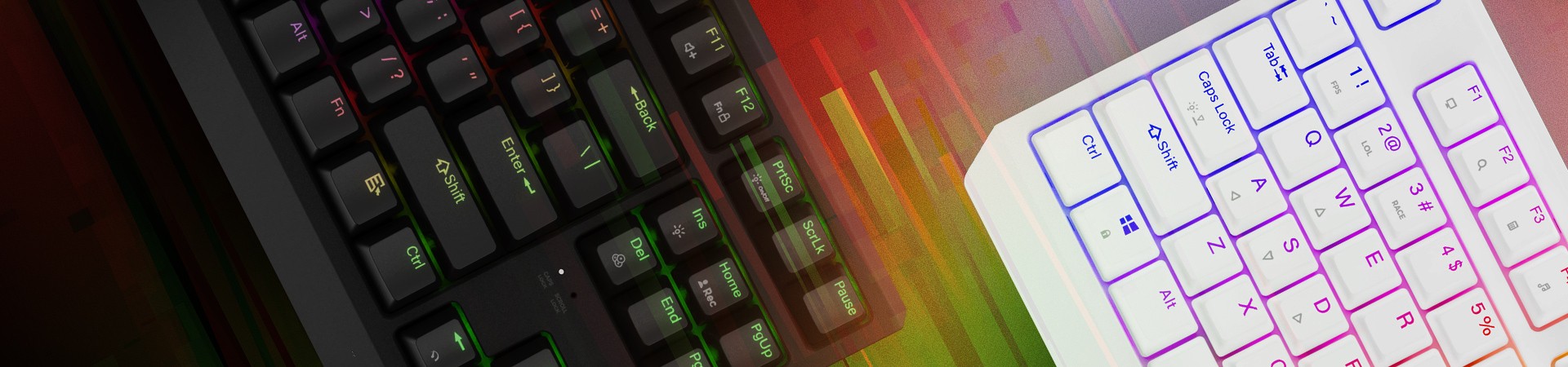GENESIS Thor 230 TKL et 230 TKL Lite - voici les nouveaux membres de la famille Thor !
