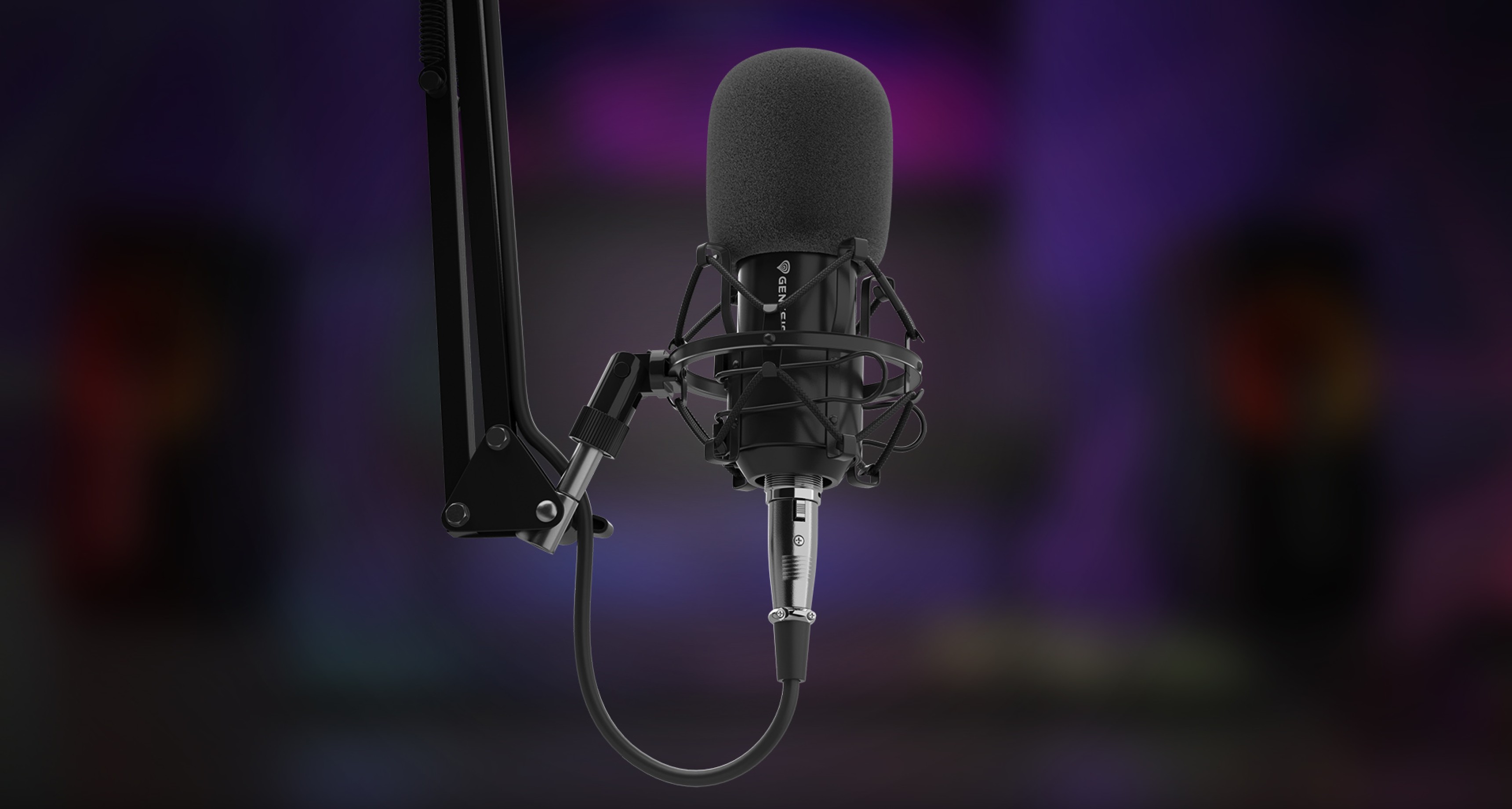 Microphone professionnel monté sur un bras réglable, doté d'un filtre anti-pop et d'une connexion XLR pour une utilisation en studio.