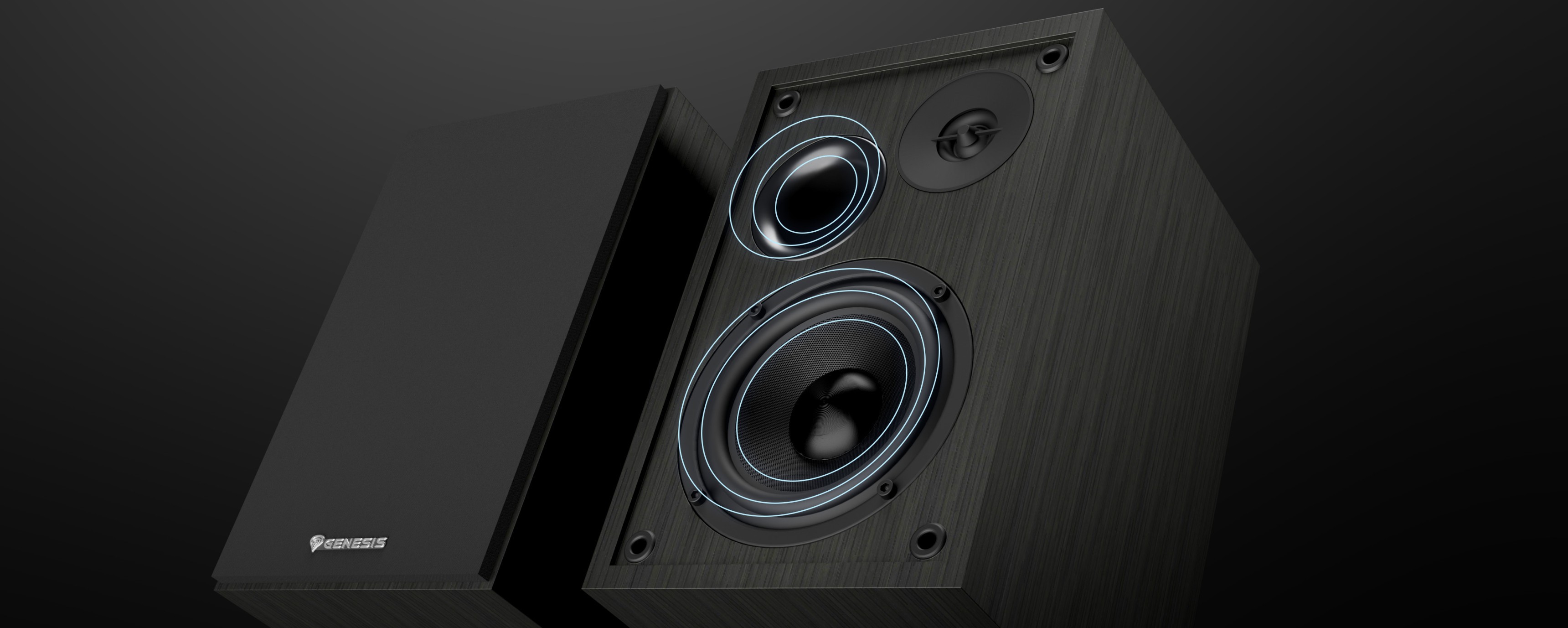 Enceintes Genesis Arsen 302BT 2.0 noires avec deux haut-parleurs et un design élégant, parfaites pour profiter du son.