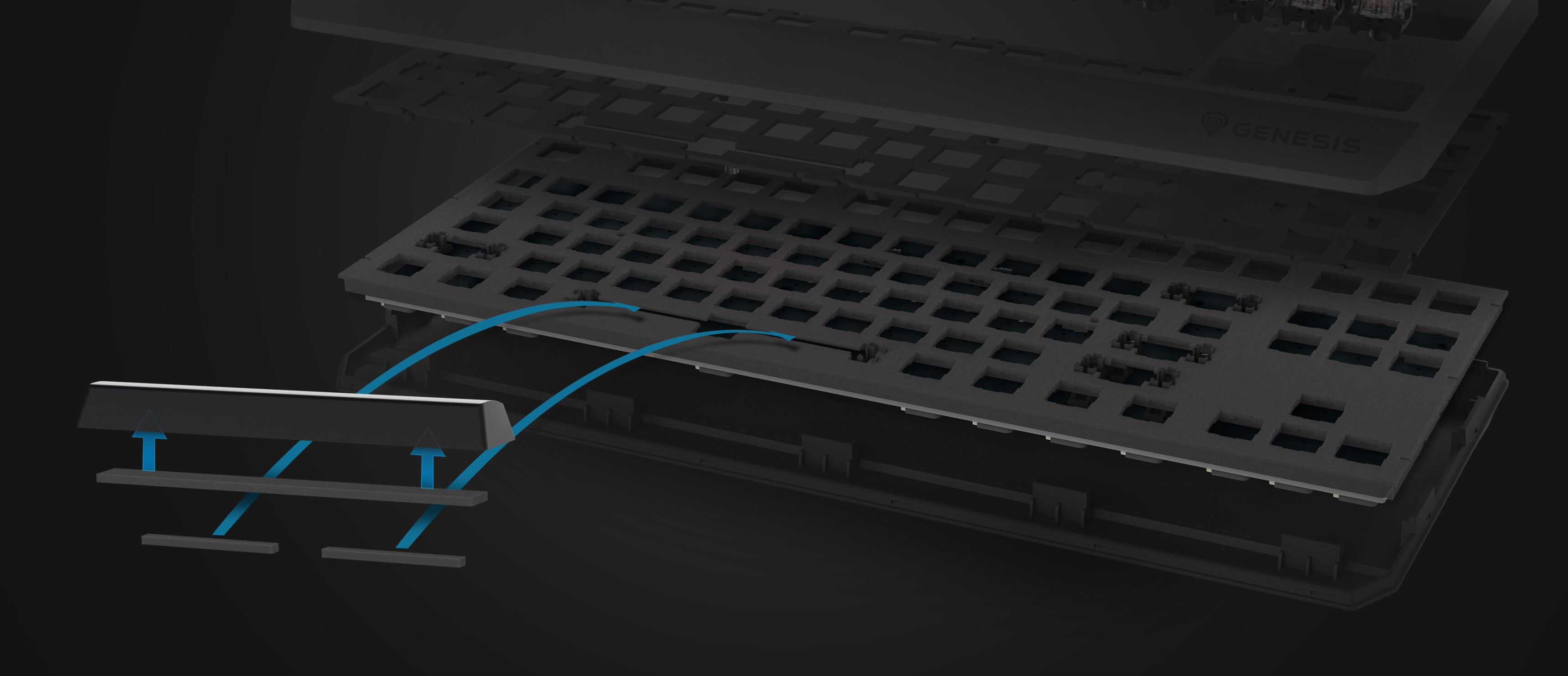 Gros plan sur le clavier mécanique Genesis Thor 230 TKL Lite, mettant en évidence ses commutateurs de touches remplaçables à chaud et son design noir.
