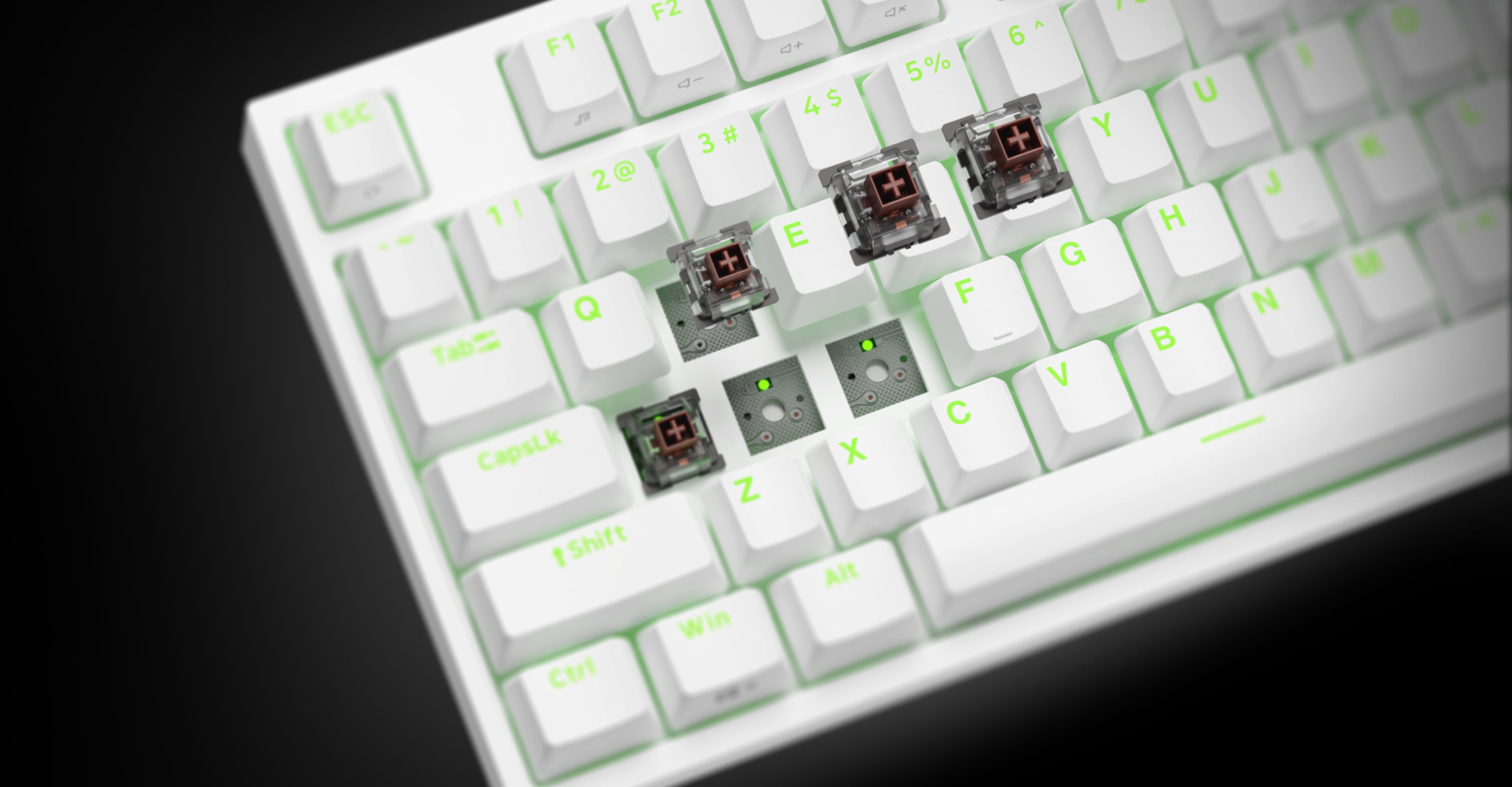 Clavier mécanique RGB sans touches avec touches blanches et rétroéclairage vert, montrant les interrupteurs Kailh Box Brown.