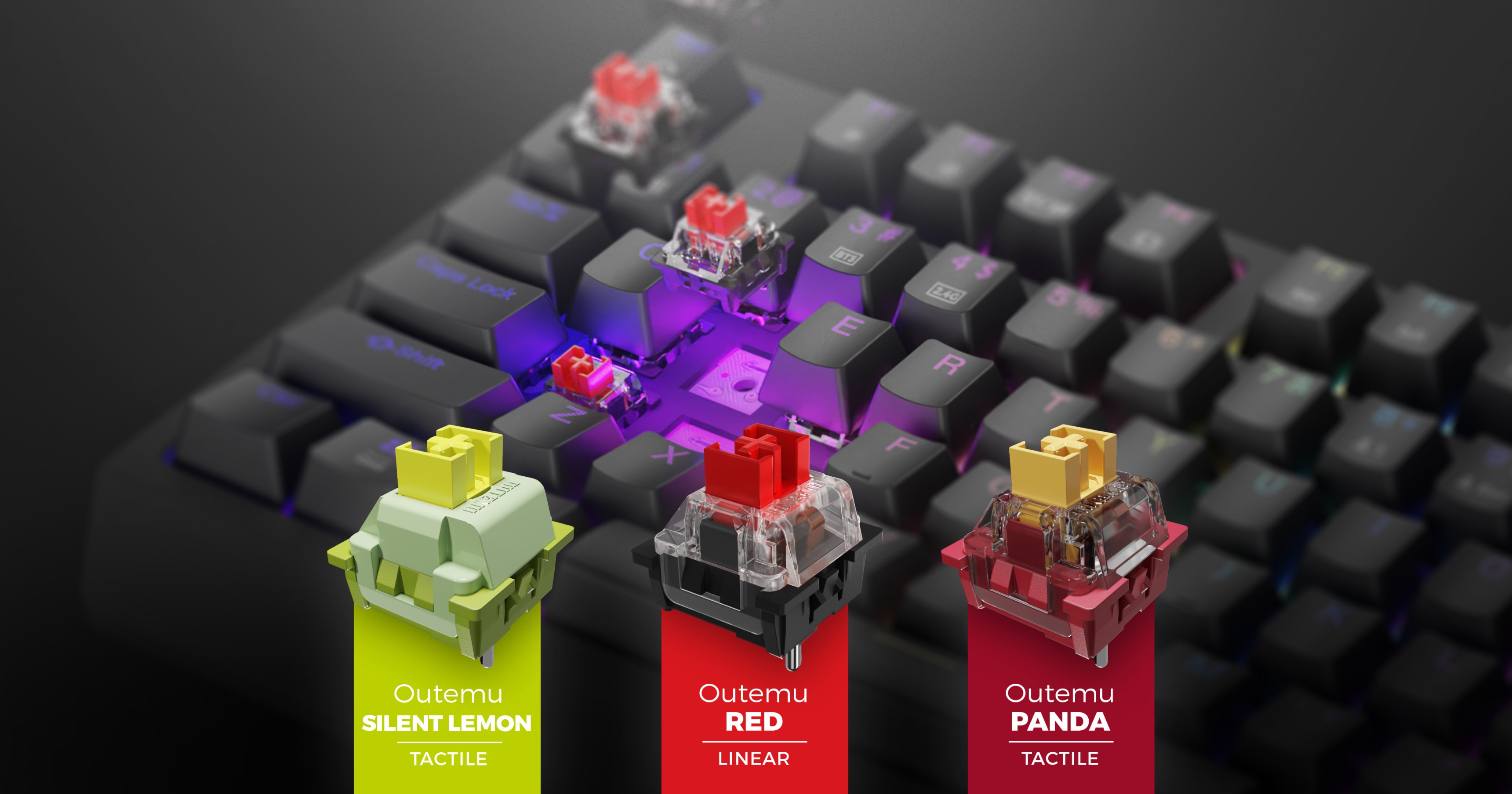 Gros plan sur un clavier de jeu doté d'un éclairage RVB personnalisable et de trois types de commutateurs Outemu : Silent Lemon, Red et Panda.