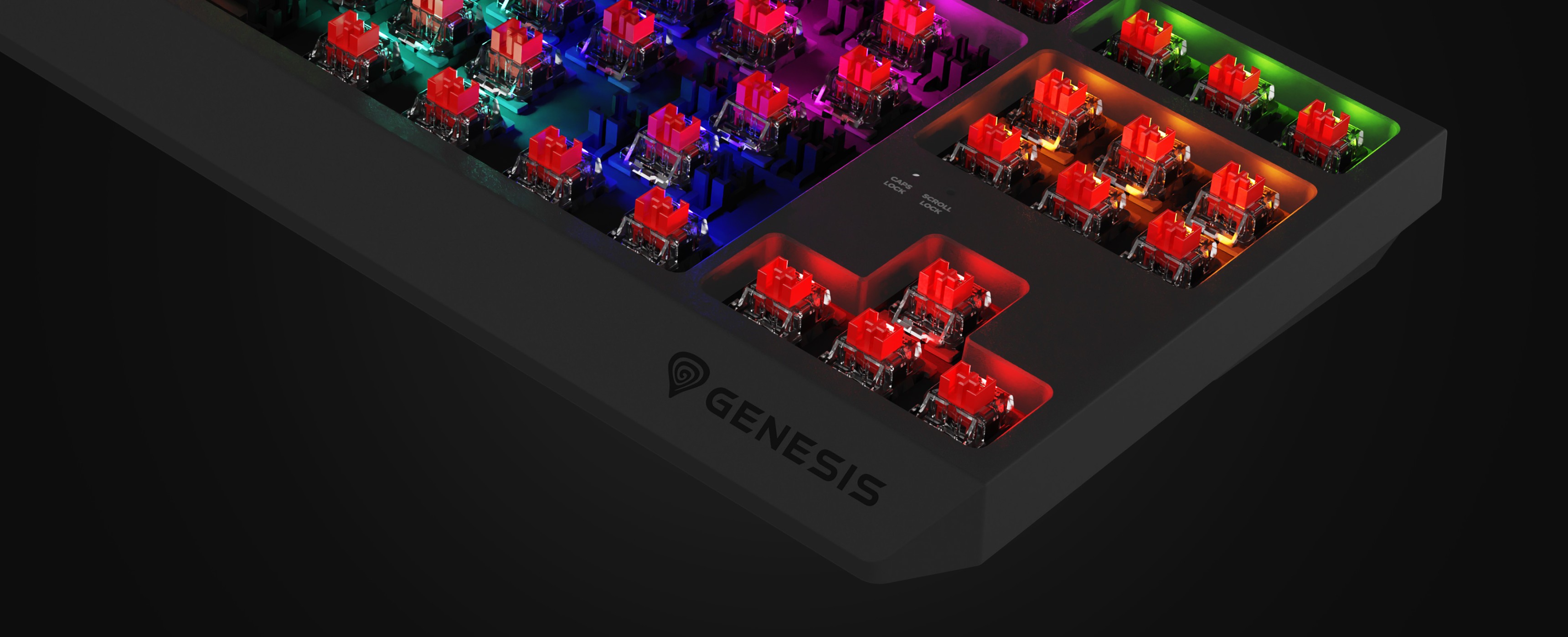 Clavier de jeu mécanique avec éclairage RVB coloré et commutateurs rouges Outemu remplaçables à chaud, doté d'un design TKL compact.