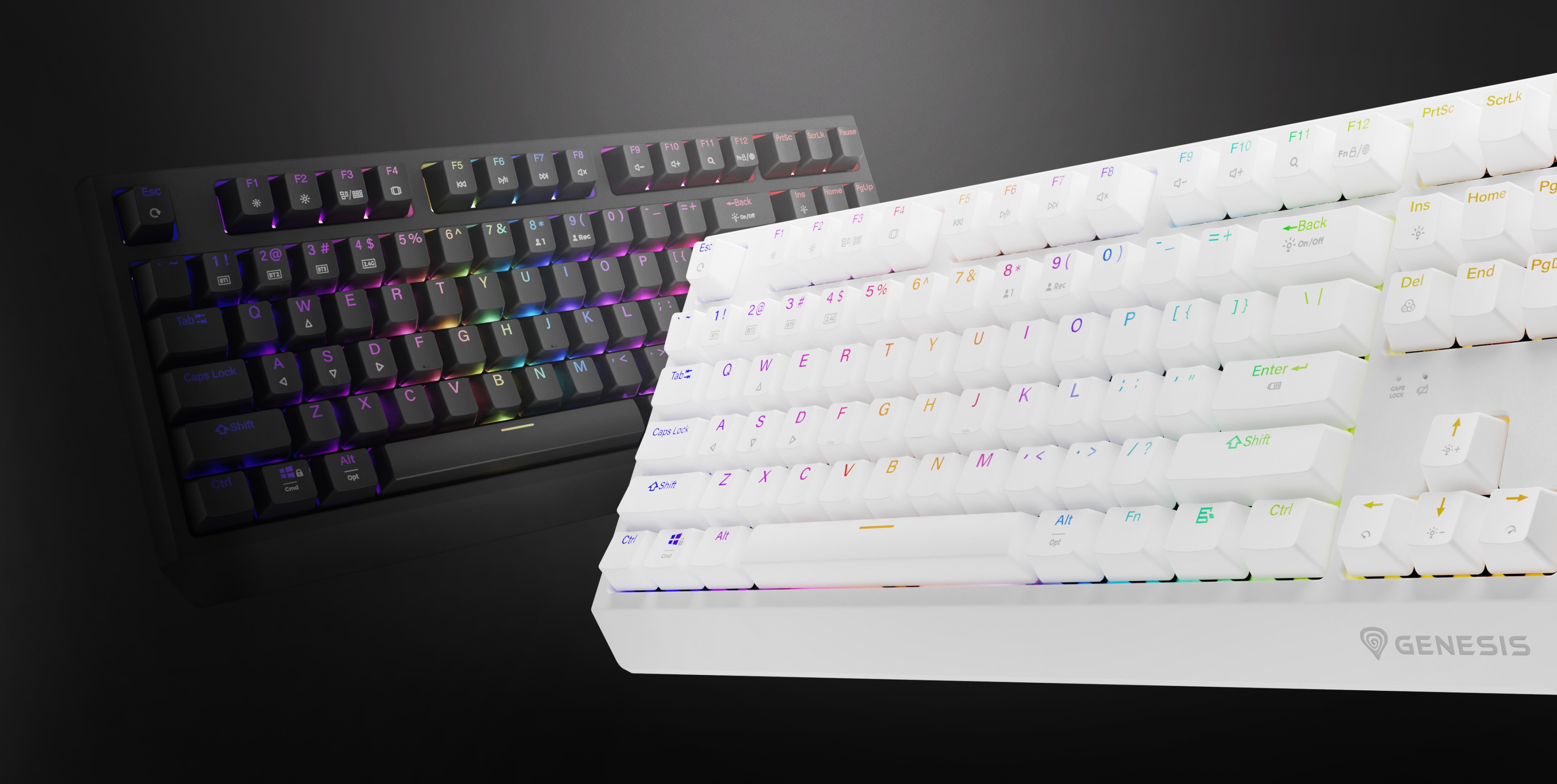 Deux claviers mécaniques sans fil Genesis Thor 230 TKL sont présentés, l'un noir et l'autre blanc, avec des effets de rétroéclairage RVB.