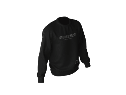 Genesis Sweat Holo